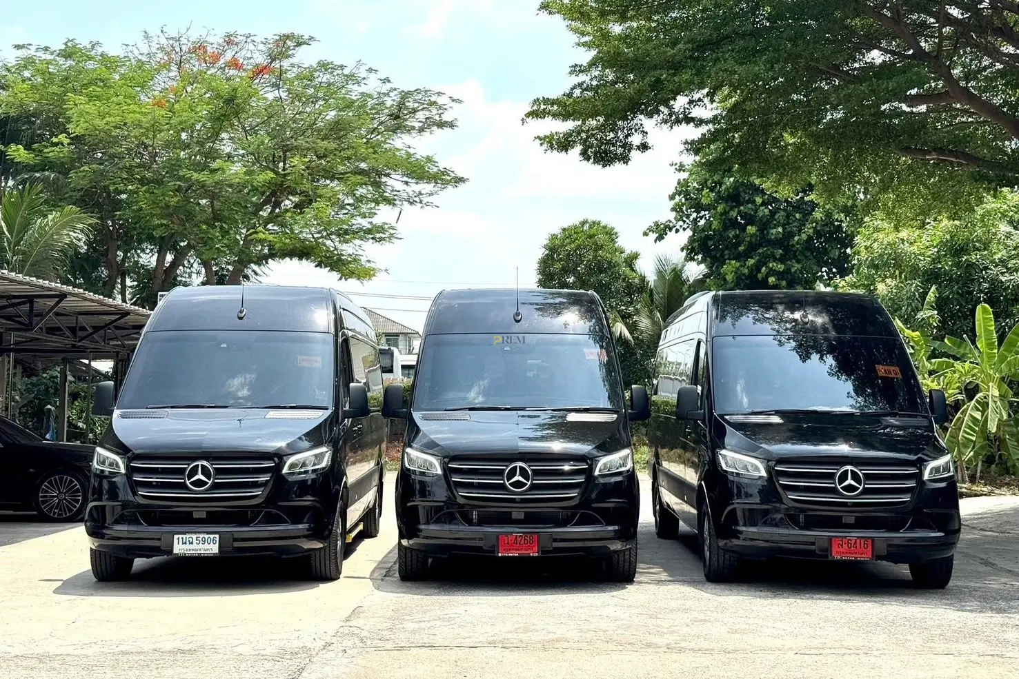 Alphard and Benz